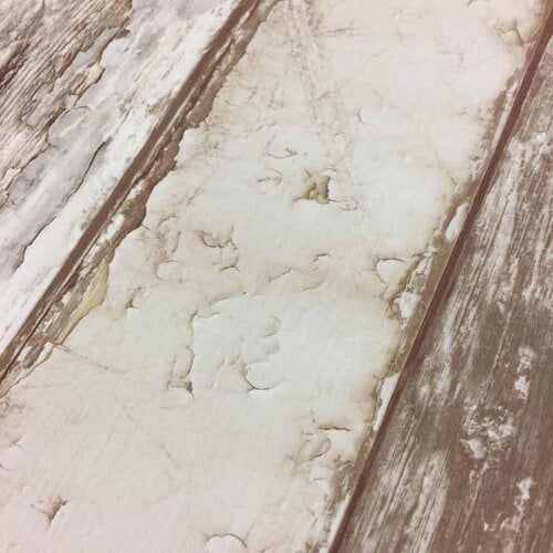 Dutch Wallcoverings PE-10-02-1
