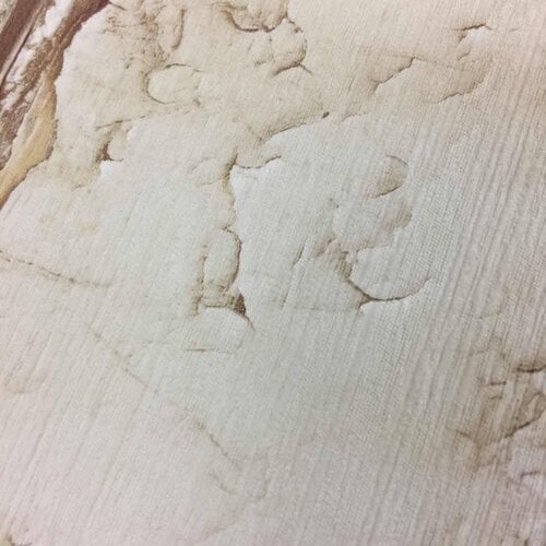 Dutch Wallcoverings PE-10-02-1