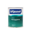 Wijzonol AQUA Hoogglans Wijzonol AQUA Hoogglans