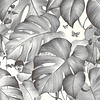 Behang Colibri 36625-2