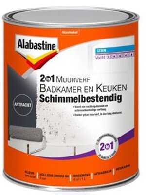 Alabastine 2-in-1 Muurverf Badkamer en Keuken Schimmelbestendig - 1 liter Antraciet