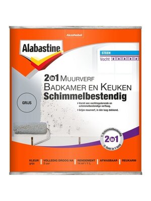 Alabastine 2-in-1 Muurverf Badkamer en Keuken Schimmelbestendig