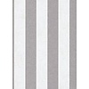 Dutch Wallcoverings Behang Carat Deluxe Streep Wit/Zilver 10077-14 Dutch Wallcoverings Behang Carat Deluxe Streep Wit/Zilver 10077-14