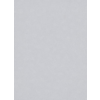 Dutch Wallcoverings Behang Carat Deluxe Uni Zilver 10079-31 Dutch Wallcoverings Behang Carat Deluxe Uni Zilver 10079-31