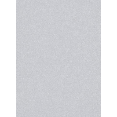 Dutch Wallcoverings Behang Carat Deluxe Uni Zilver 10079-31 Dutch Wallcoverings Behang Carat Deluxe Uni Zilver 10079-31