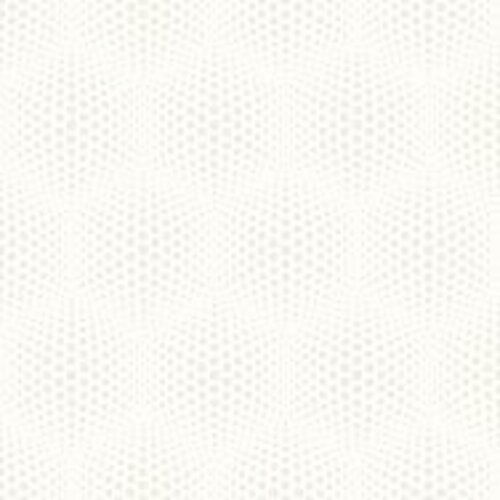 Dutch Wallcoverings Behang Galactik Stippen Wit J506-00 Dutch Wallcoverings Behang Galactik Stippen Wit J506-00
