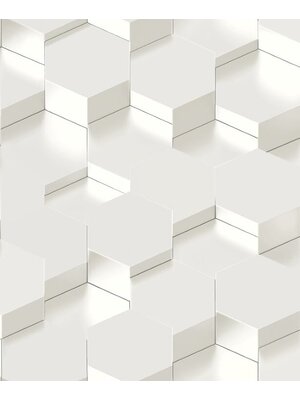 Dutch Wallcoverings Behang Galactik 3D Zeshoek Wit L970-00