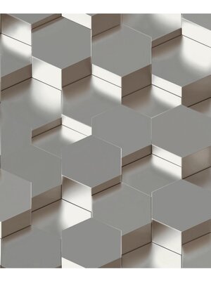 Dutch Wallcoverings Behang Galactik 3D Zeshoek Zilver L970-09