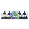 Royal Talens Set 5 x 30 ml - Primair Royal Talens Set 5 x 30 ml - Primair