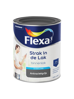 Flexa Strak in de Lak Binnenlak Zijdeglans - 1026 Antraciet
