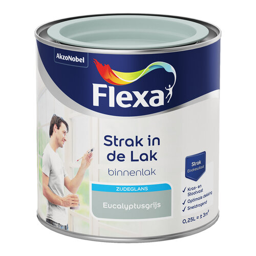 Flexa Strak in de Lak Binnenlak Zijdeglans - Eucalyptusgrijs Flexa Strak in de Lak Binnenlak Zijdeglans - Eucalyptusgrijs