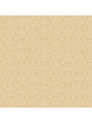 Noordwand Atmosphere Behang met grafische hexagons G78249