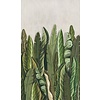 Noordwand Smart Art Easy Fotobehang grote bladeren 47205