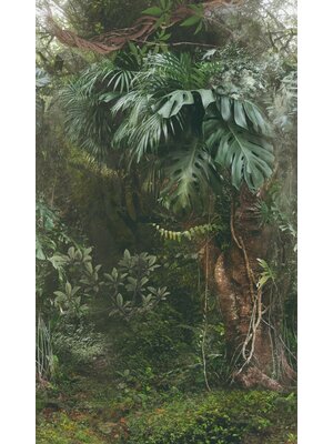 Noordwand Smart Art Easy Fotobehang groene jungle 47208