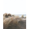 Noordwand Smart Art Easy Fotobehang duinen 47219 Noordwand Smart Art Easy Fotobehang duinen 47219