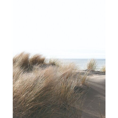 Noordwand Smart Art Easy Fotobehang duinen 47219 Noordwand Smart Art Easy Fotobehang duinen 47219