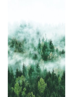 Noordwand Smart Art Easy Fotobehang bos in de mist 47267