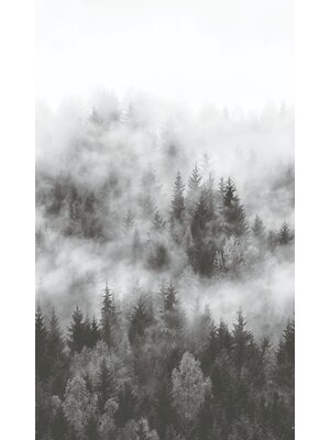 Noordwand Smart Art Easy Fotobehang bos in de mist 47268