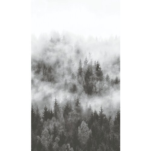 Noordwand Smart Art Easy Fotobehang bos in de mist 47268 Noordwand Smart Art Easy Fotobehang bos in de mist 47268