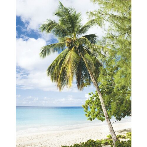 Noordwand Smart Art Easy Fotobehang palmboom strand 47269 Noordwand Smart Art Easy Fotobehang palmboom strand 47269