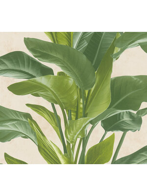 Livingwalls Metropolitan Stories 2 crème behang | 378623