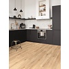 Hoomline PVC - Stilleven Rembrandt 245