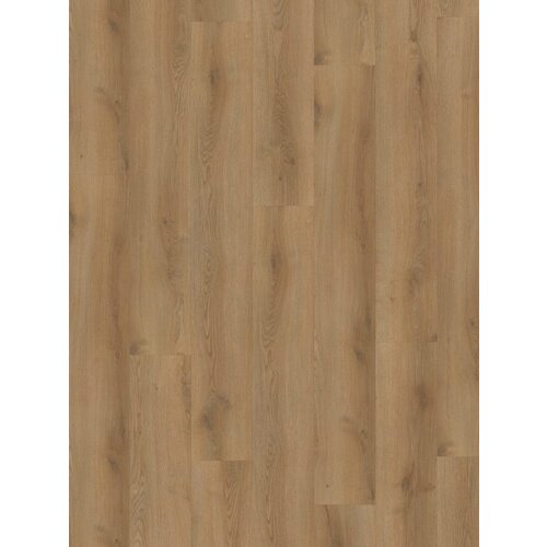 Hoomline PVC - Stilleven Hals 832