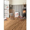Hoomline PVC - Stilleven Hals 832