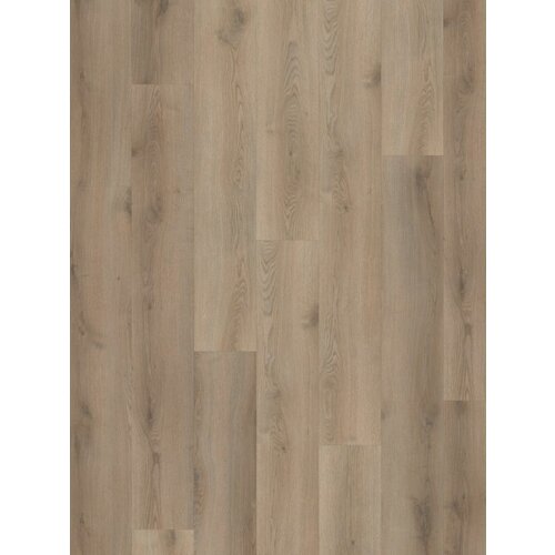 Hoomline PVC - Stilleven Van Gogh 230