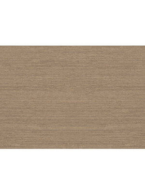 Emil & Hugo Naturalis 213842