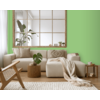 STRIJCK Aloe Vera - 163G-4 STRIJCK Aloe Vera - 163G-4