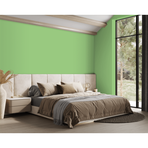 STRIJCK Aloe Vera - 163G-4 STRIJCK Aloe Vera - 163G-4