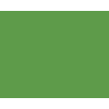 STRIJCK Appel - 163G-6