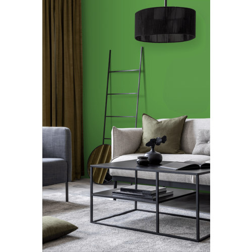 STRIJCK Appel - 163G-6