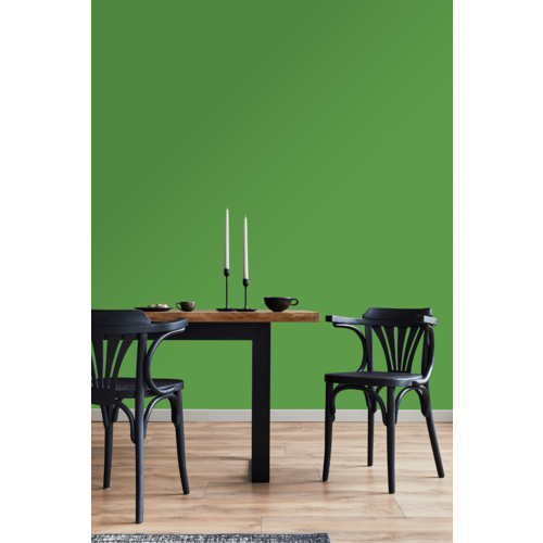 STRIJCK Appel - 163G-6