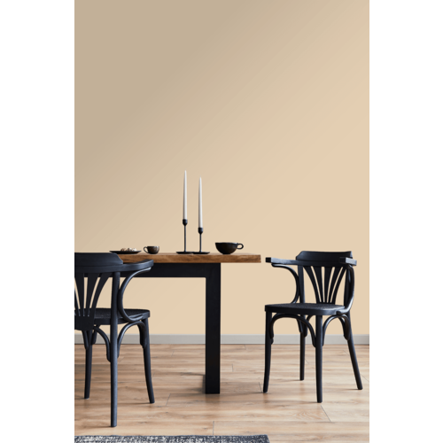 STRIJCK Deeg - 130Y-2