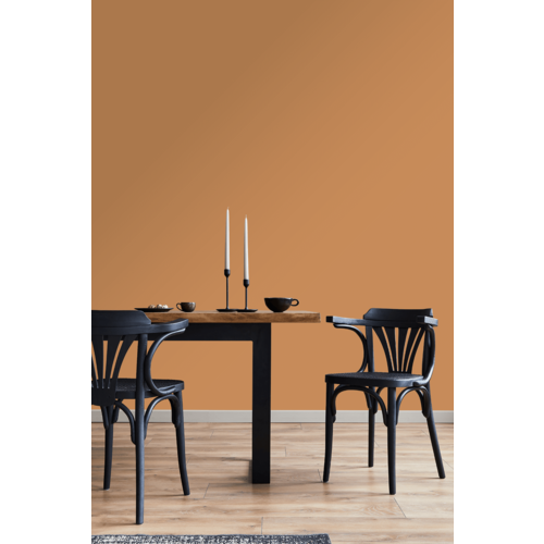 STRIJCK Honing - 109O-5 STRIJCK Honing - 109O-5