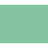 STRIJCK Munt - 166G-4