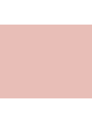 STRIJCK Zalm - 082R-2