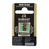 Rembrandt Aquarelverf Napje - Interference Groen #848