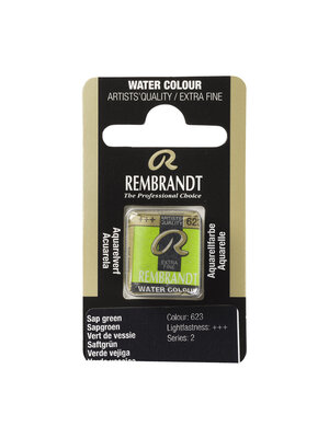 Rembrandt Aquarelverf Napje - Sapgroen #623