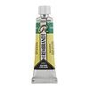 Rembrandt Aquarelverf Tube 10 ml - Blauwgroen #640