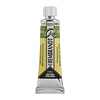 Rembrandt Aquarelverf - tube - Chroomoxydgroen 668 Rembrandt Aquarelverf - tube - Chroomoxydgroen 668