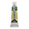 Rembrandt Aquarelverf Tube 10 ml - Hookersgroen Donker #645