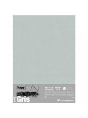 Clairefontaine Painton Mixmedia - Losse Vellen - 250 gr - 15 Blad Per Pak - 50 x 65 cm - Grijs