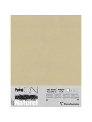 Clairefontaine Painton Mixmedia - Blok - 250 gr - 2 Blad - 50 x 65 cm - Naturel