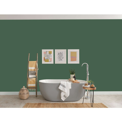 Histor Colortester 13-31 Still Searching Histor Colortester 13-31 Still Searching