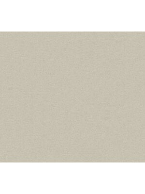AS Creation Ethnic Origin beige behang | 371782
