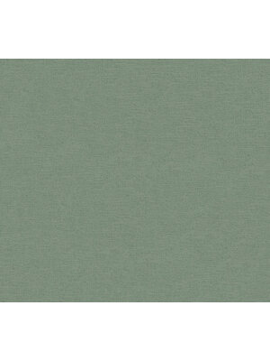 AS Creation Ethnic Origin groen behang | 371787