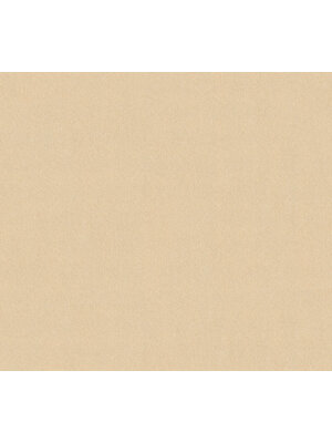 AS Creation Styleguide Trend Colours 2021 beige behang | 353160